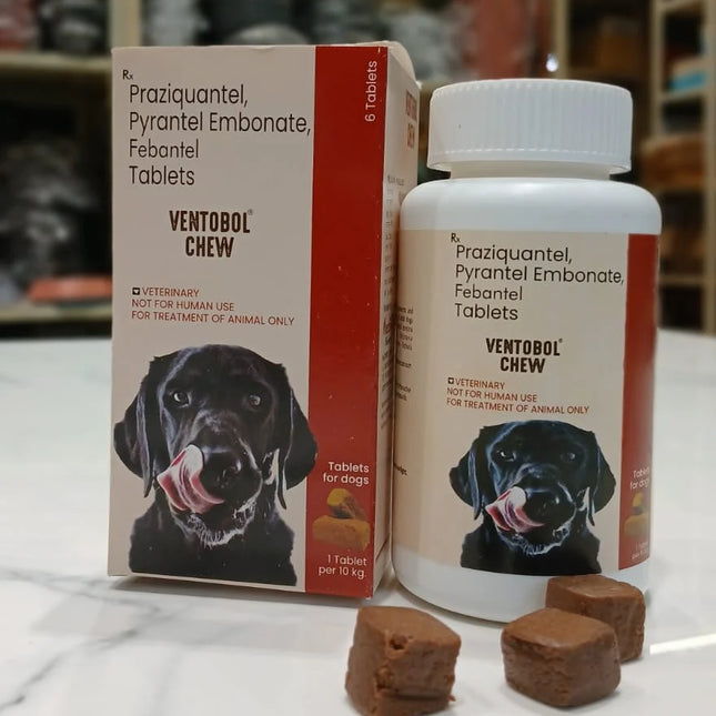 Medilogy Ventobol chew 1pack of 6 chew