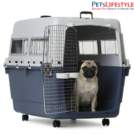 Canine Desk Flight Carrier (22.44 × 14.57 × 13.19 inches) IATA Approved Airline Travel Crate for Dogs (Medium)