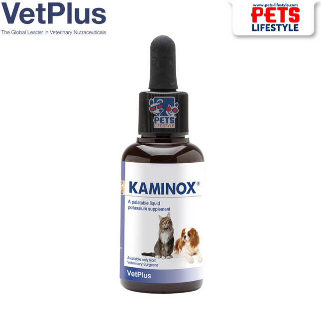 KAMINOX Liquid 60ml (Potassium, B Vitamins and Amino Acids Nutraceutical Support for Dogs and Cats)