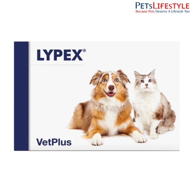 Vetplus Nutraceutical Supplement Lypex Capsules for Dog & Cat Digestive Support Supplement