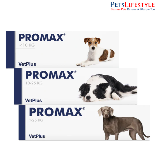 Vetplus Nutraceutical Supplement Promax for Dog , Digestive Probiotic Supplement