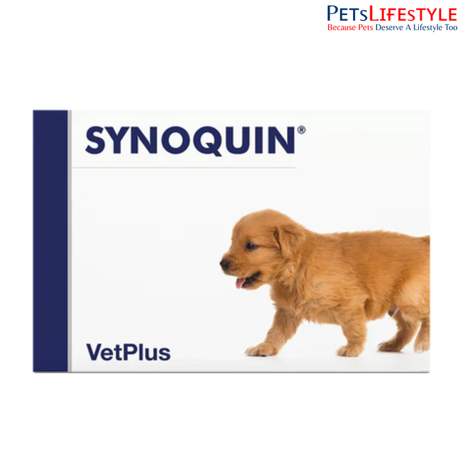 Vetplus Synoquin Growth Joint Support Supplement for Puppies & Growing Dogs (60 Tablets)