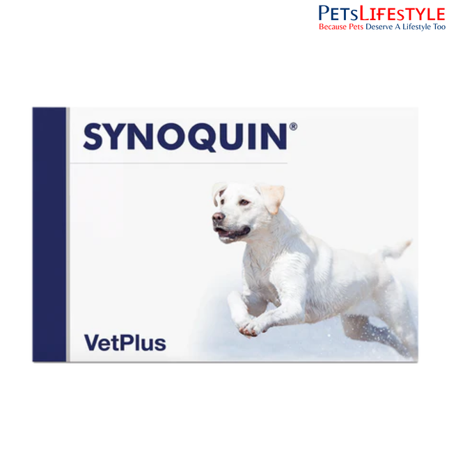 Vetplus Nutraceutical Supplement Synoquin Large Breed Joint Support for Dogs & Cats (30 Tablets / 120 Tablets)