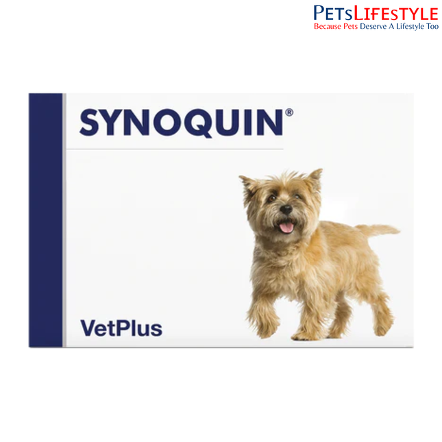 Vetplus Nutraceutical Joint Support Supplement Synoquin Small Breed for Dog & Cat