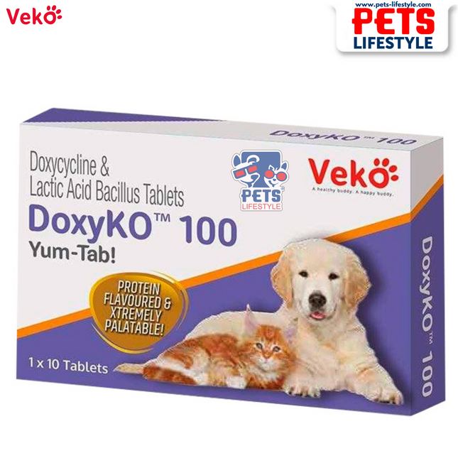 Veko DoxyKO 100 mg Yum Tab! – Doxycycline & Probiotic Tablet for Dogs  1x10 Tablets