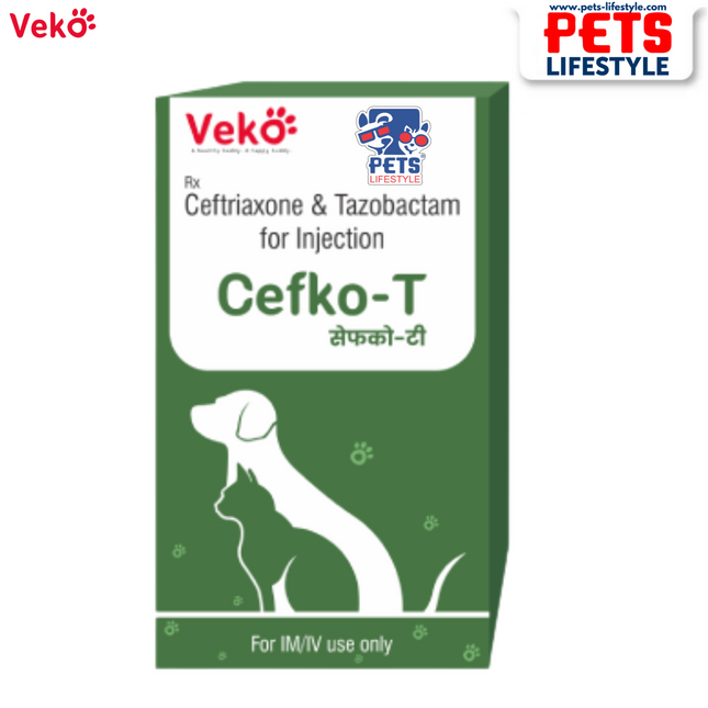 Veko Cefko-T Injection – Ceftriaxone & Tazobactam