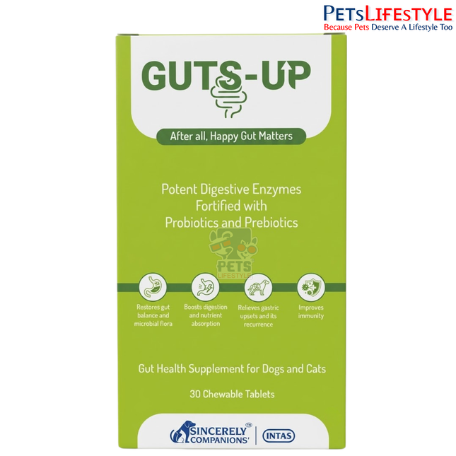 Intas Guts-Up Gut  Digestive health supplement for Dogs and Cats