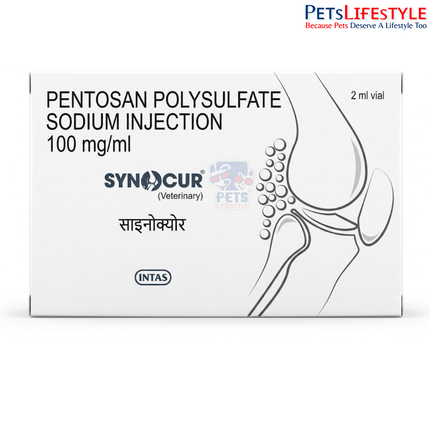 Intas SYNCUR Veterinary Injection support joint health