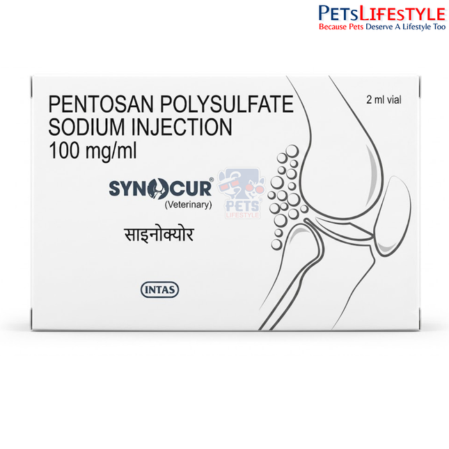 Intas SYNCUR Veterinary Injection support joint health