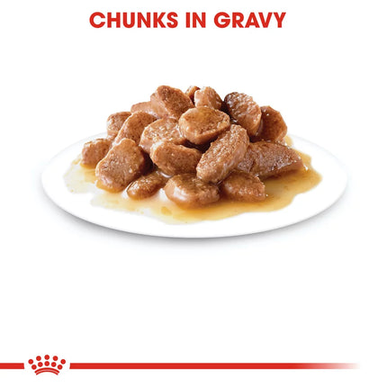 Royal Canin - Light Weight Care in Gravy