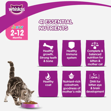 Whiskas Mackerel Dry Food For Baby and Mother Cat - 3 kg