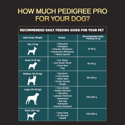 Pedigree PRO Expert Nutrition Senior (7+ Years) Adult Dog Dry Food