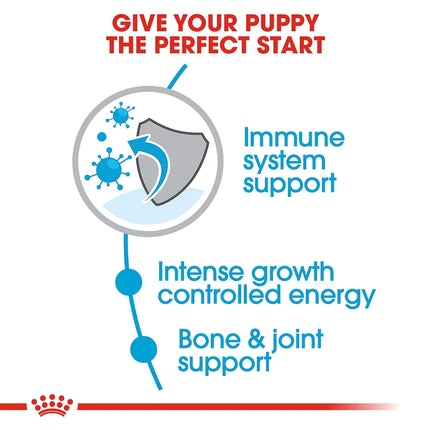 Royal Canin Giant Breed Dry Puppy Food