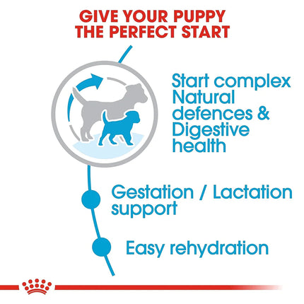 Royal Canin Mini Breed Starter Dry Puppy Food