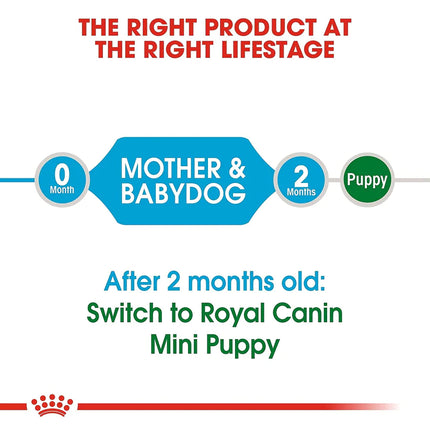 Royal Canin Mini Breed Starter Dry Puppy Food