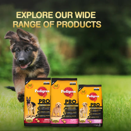 Pedigree PRO Expert Nutrition Senior (7+ Years) Adult Dog Dry Food