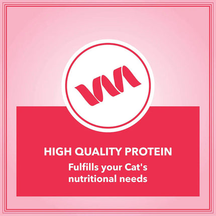 Let's Bite Active Adult Dry Cat Food - 400g (Buy1 Get1 Free)