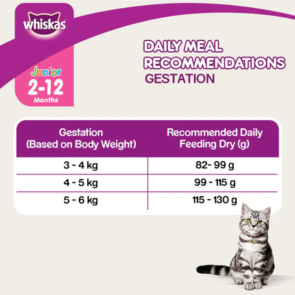 Whiskas Mackerel Dry Food For Baby and Mother Cat - 3 kg