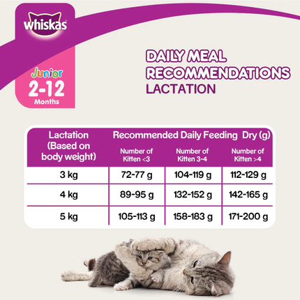 Whiskas Mackerel Dry Food For Baby and Mother Cat - 3 kg