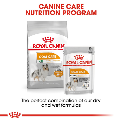 Royal Canin Coat Care Wet Dog Food