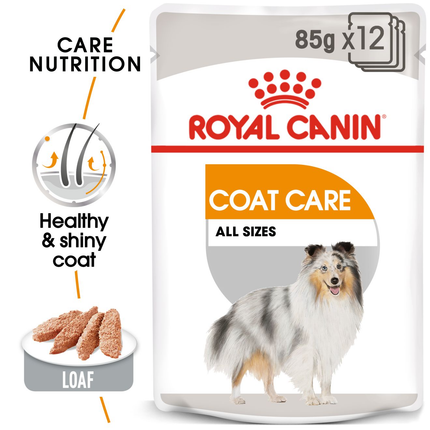 Royal Canin Coat Care Wet Dog Food