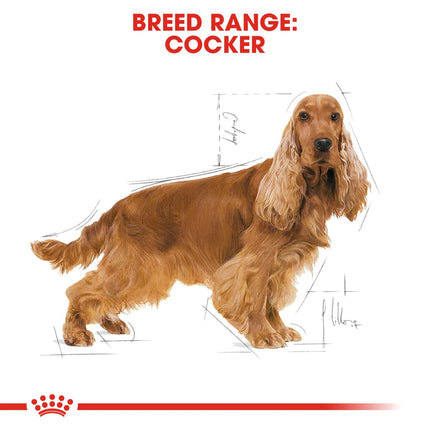 Royal Canin Cocker Spaniel Adult Dry Dog Food