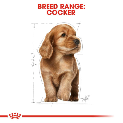 Royal Canin Cocker Junior Food for Puppies - 3 kg
