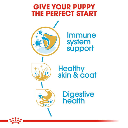 Royal Canin Cocker Junior Food for Puppies - 3 kg