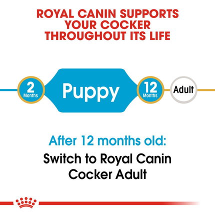 Royal Canin Cocker Junior Dry Dog Food