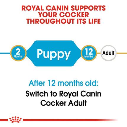 Royal Canin Cocker Junior Food for Puppies - 3 kg