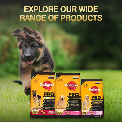Pedigree PRO Expert Nutrition Dry Dog Food For Large Breed Puppy (3-18 Months)