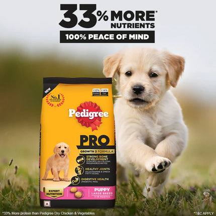 Pedigree PRO Expert Nutrition Dry Dog Food For Large Breed Puppy (3-18 Months)