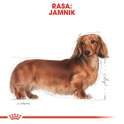 Royal Canin Dachshund Adult Dry Dog Food