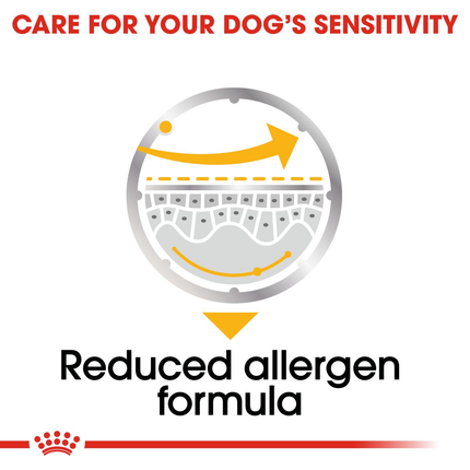 Royal Canin Dermacomfort Care Wet Dog Food