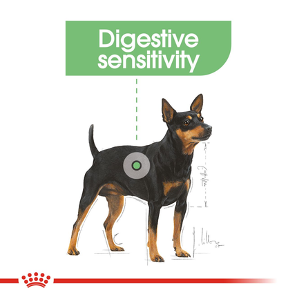 Royal Canin Digestive Care Dog Wet Food