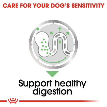 Royal Canin Digestive Care Dog Wet Food