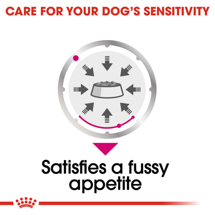 Royal Canin Exigent Care Wet Dog Food