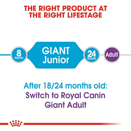 Royal Canin Giant Breed Junior Food For Puppies