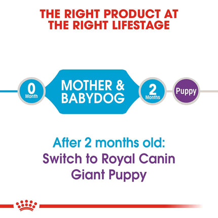 Royal Canin Giant Breed Starter Puppy Food