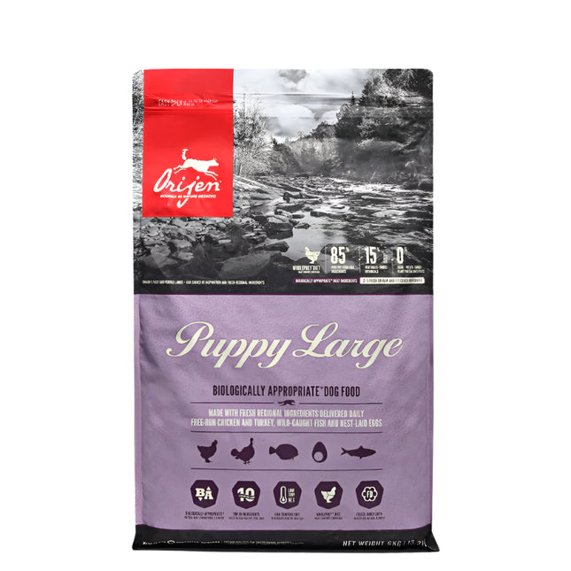 Orijen Grain Free Large Breed Dry Puppy Food