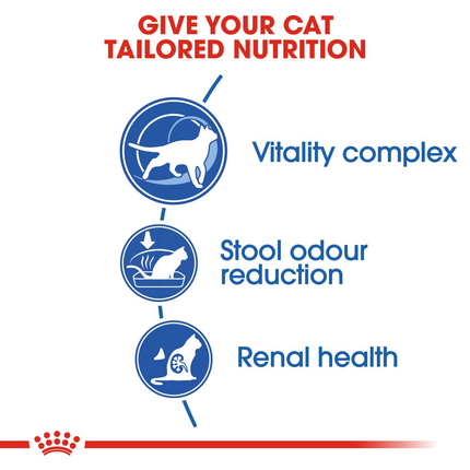 Royal Canin indoor 7+ Dry Food Cat