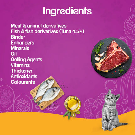 Kitten food chart 2025
