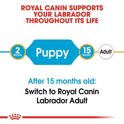 Royal Canin Labrador Retriever Puppy Dry Dog Food