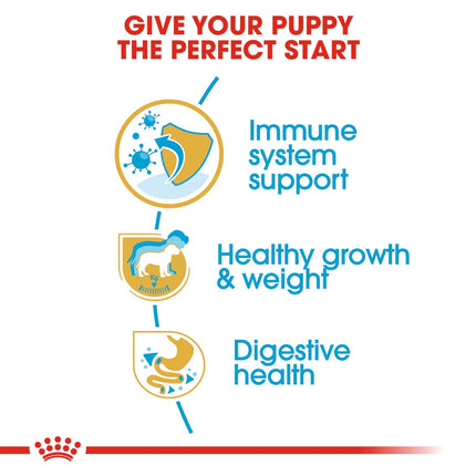 Royal Canin Labrador Retriever Dry Puppy Food