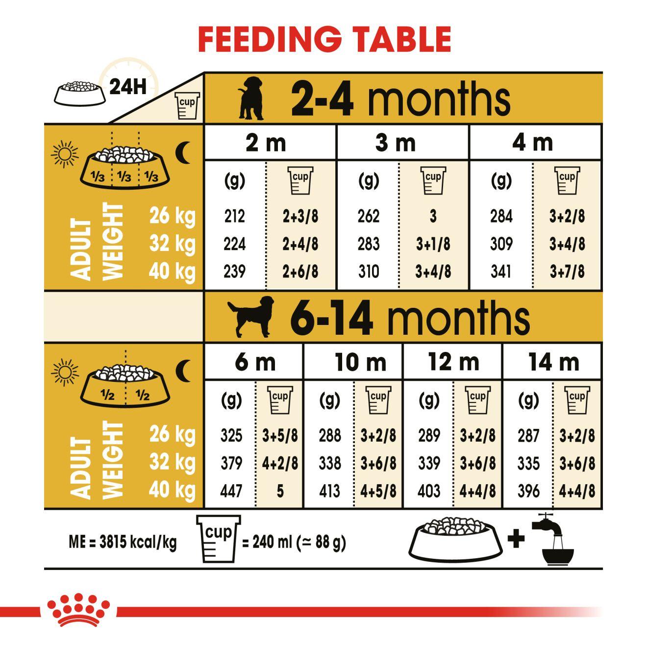 Buy royal canin labrador puppy feeding guide Best Sale