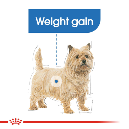 Royal Canin Light Weight Care Dog Wet Food