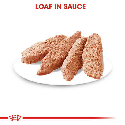 Royal Canin Light Weight Care Dog Wet Food