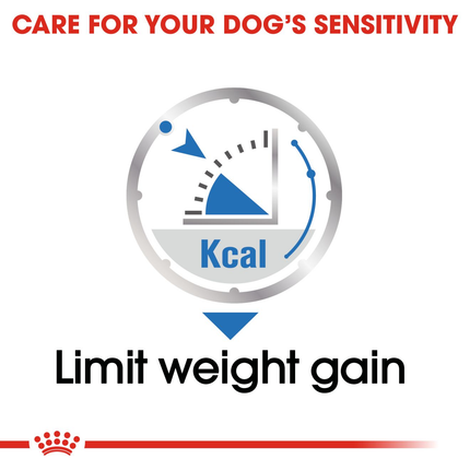 Royal Canin Light Weight Care Dog Wet Food