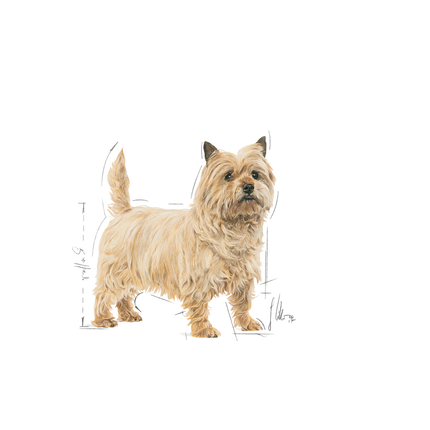 Royal Canin Light Weight Care Dog Wet Food