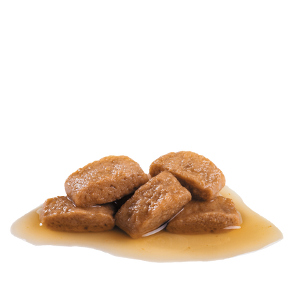 Royal Canin Maxi Adult Dog Wet Food